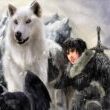 Eddard